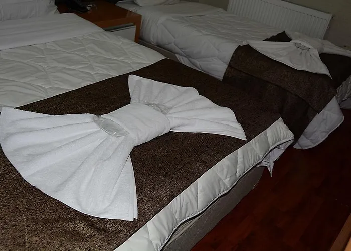 Hotel Bulut Denizli (Denizli)